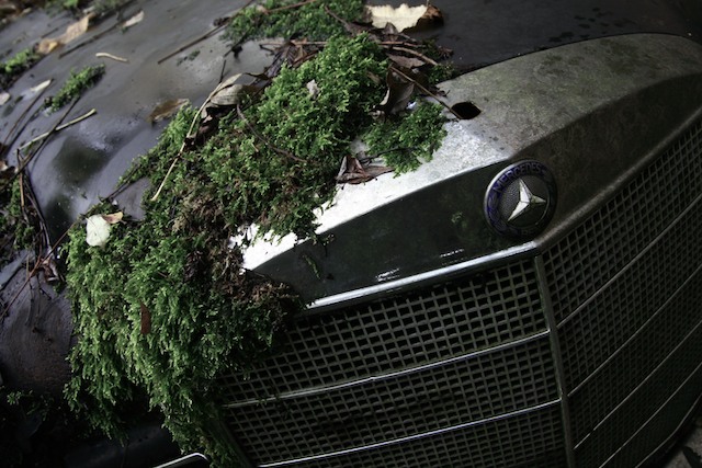 Cars 11